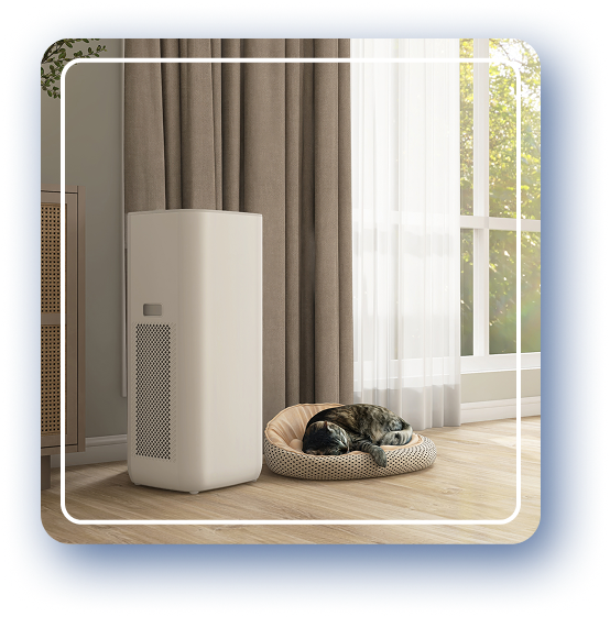 Indoor Air Quality and Air Cleaning in Medina, OH