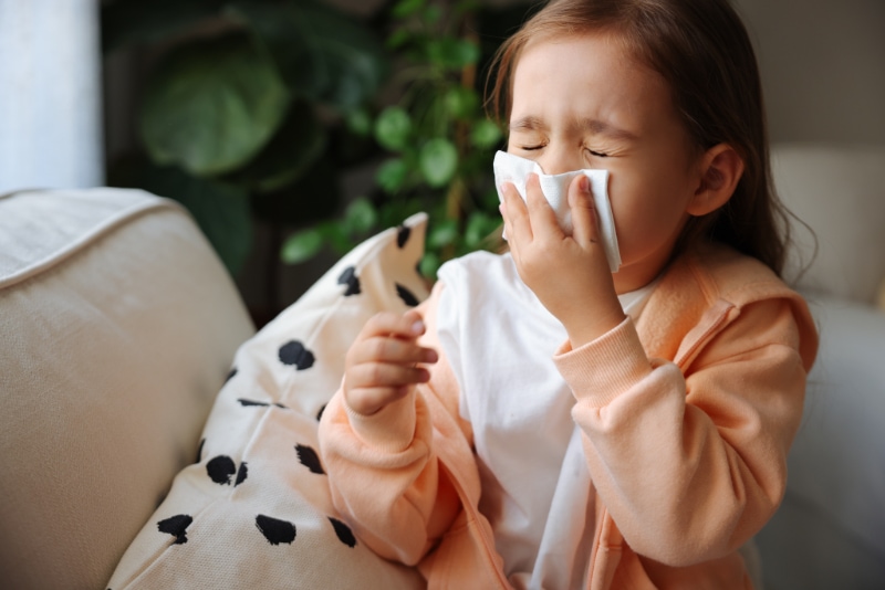 Young girl blowing nose due to allergies developed from poor indoor air quality. Gene's Heating & Air Conditioning, Plumbing & Electrical blog image.