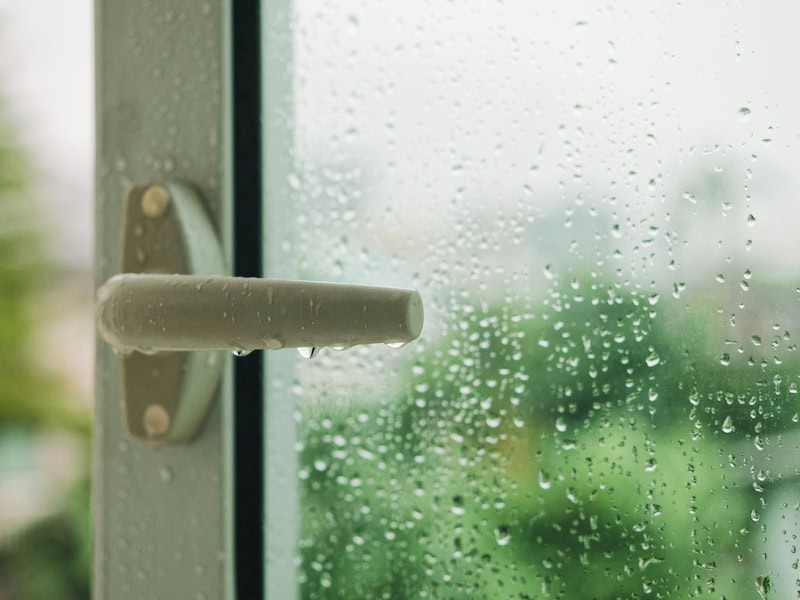 Why Is a Home Dehumidifier Important?