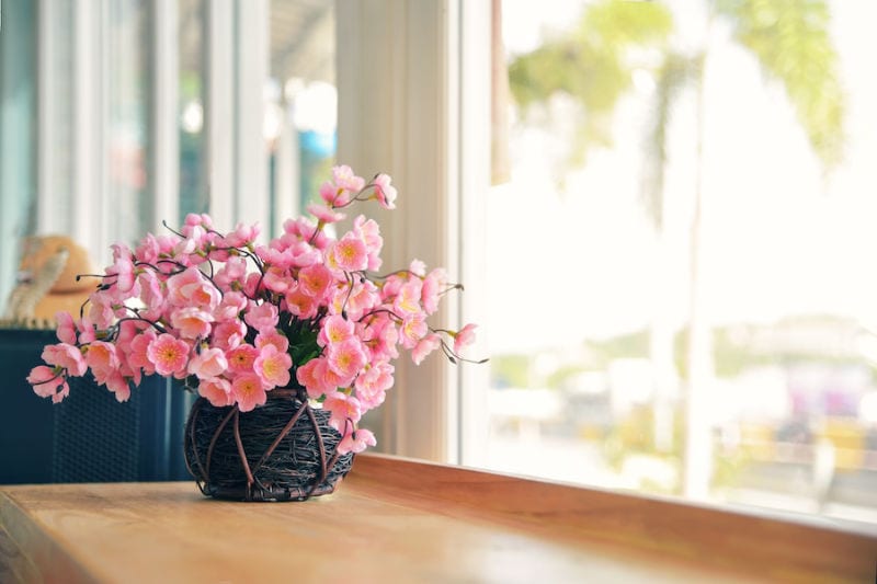 Spring flowers by the window.