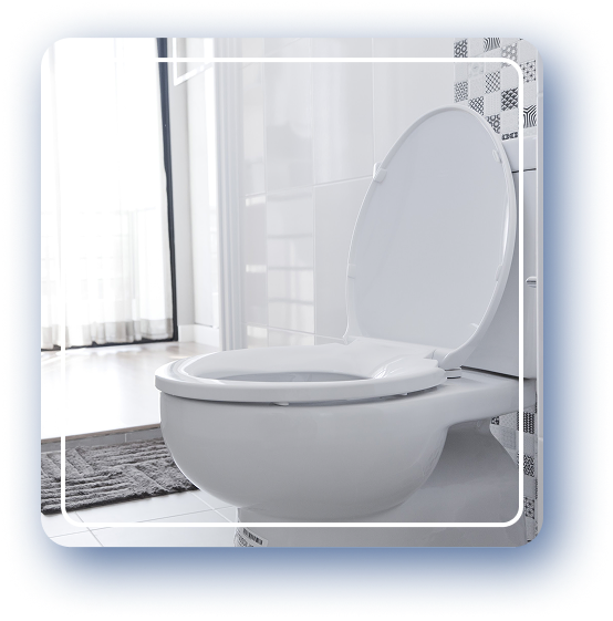 Clogged Toilet Repairs